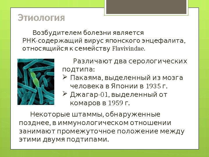 Этиология Возбудителем болезни является -  ,  РНК содержащий вирус японского энцефалита Flavivindae.